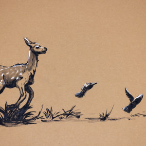 Deer drawing