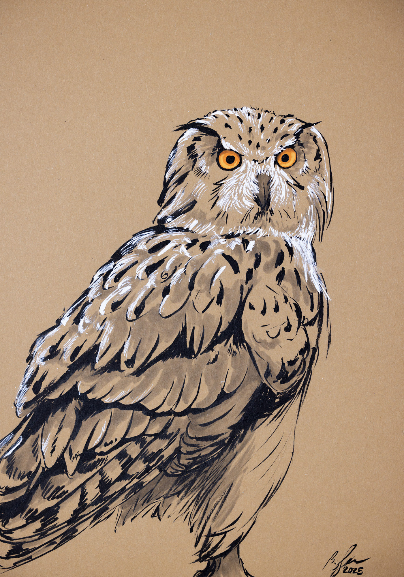 Eagle Owl drawing