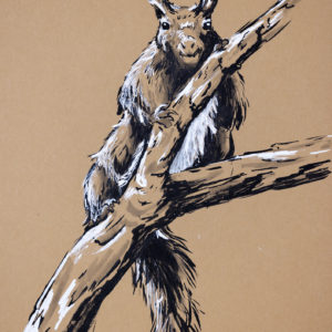 Squirel drawing