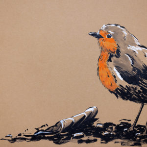 Robin drawing